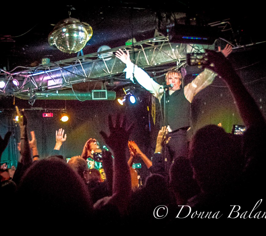 The Woggles by Donna Balancia for West Coast Rocker